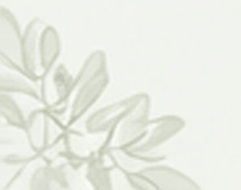 Flower Decoration