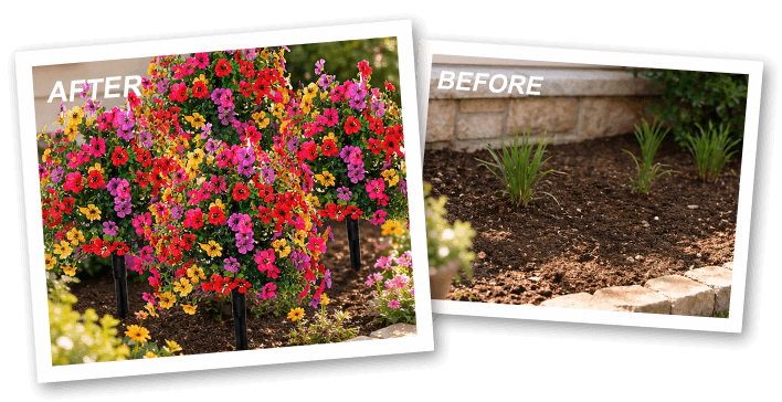 Before/After