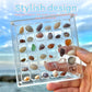 Magnetische Muschel-Displaybox aus Acryl